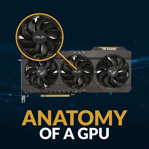 graphics card outputs|Everything You Need To Know About GPUs (Graphics Card) .
